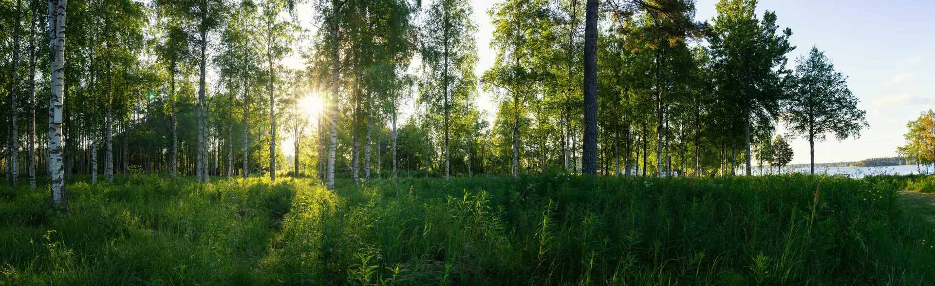 Experter på ventilationsrengöring i Trosa